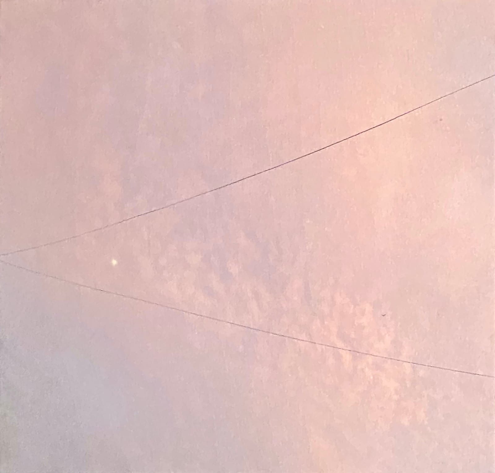 Miho Kajioka, CL0015, 2021