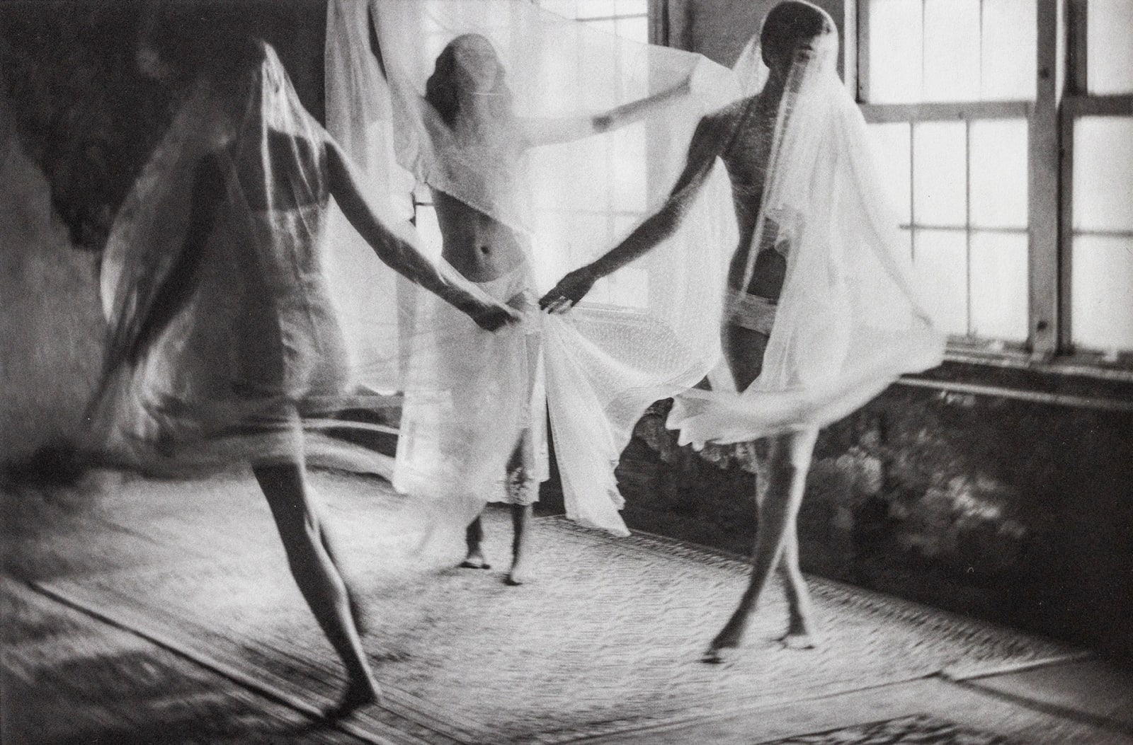 Chantal Elisabeth Ariëns, Nymphes #29, 2024