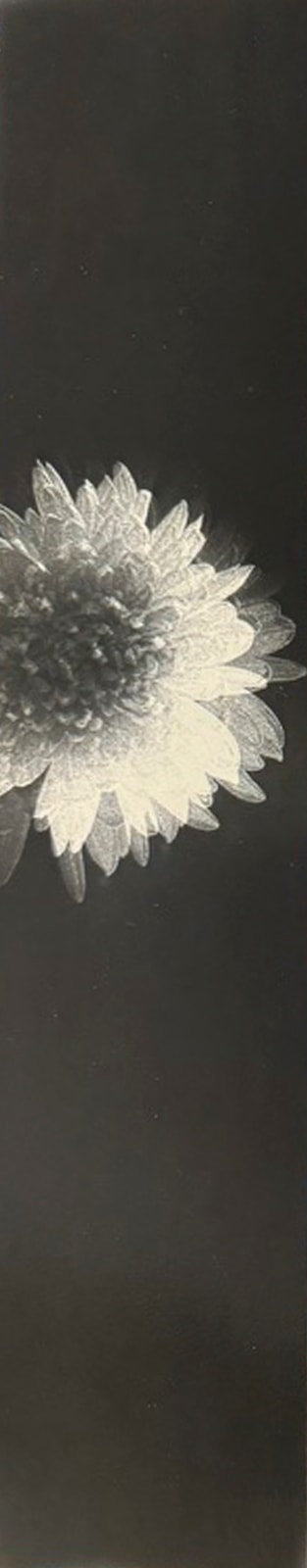 Miho Kajioka, #0155, 2024
