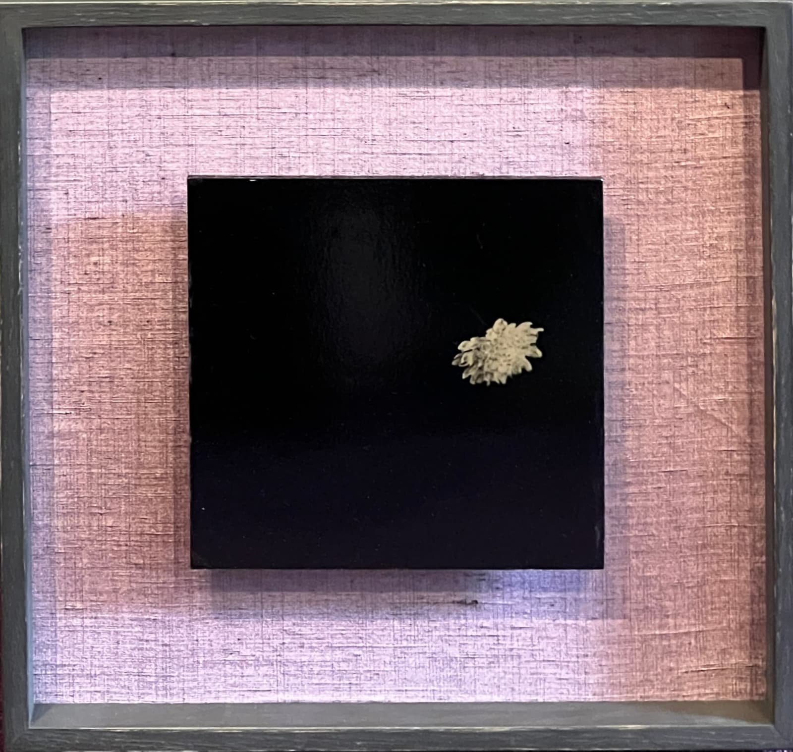 Steffen Diemer, Blüte, WVZ 1136, 2014