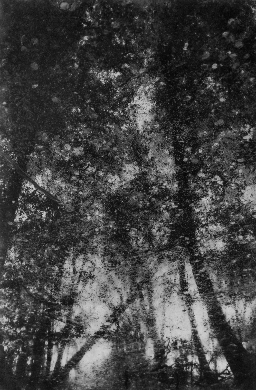 Chantal Elisabeth Ariëns, Where are you #10, 2017