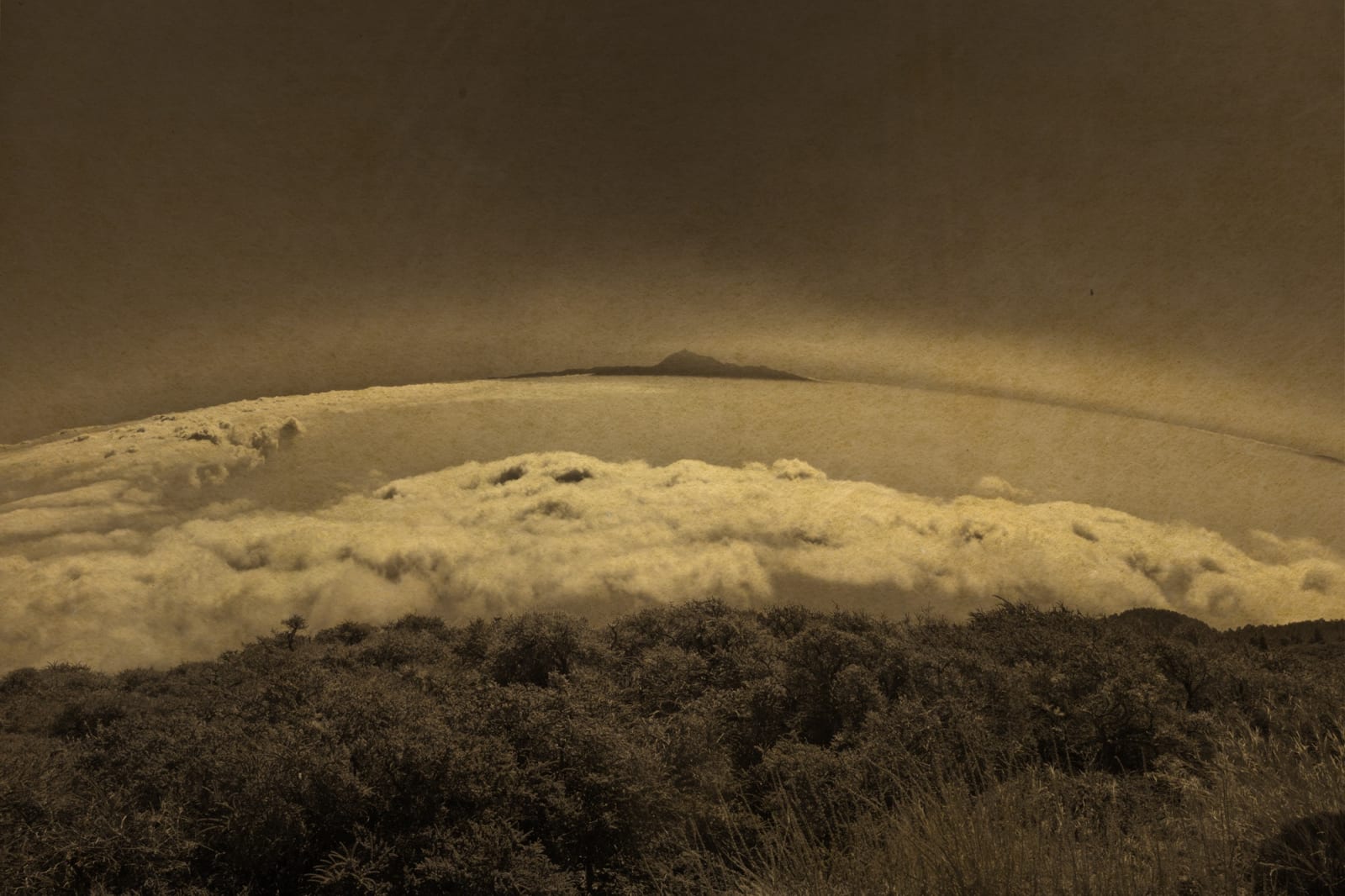 Albarrán Cabrera, Nyx #11, 2017