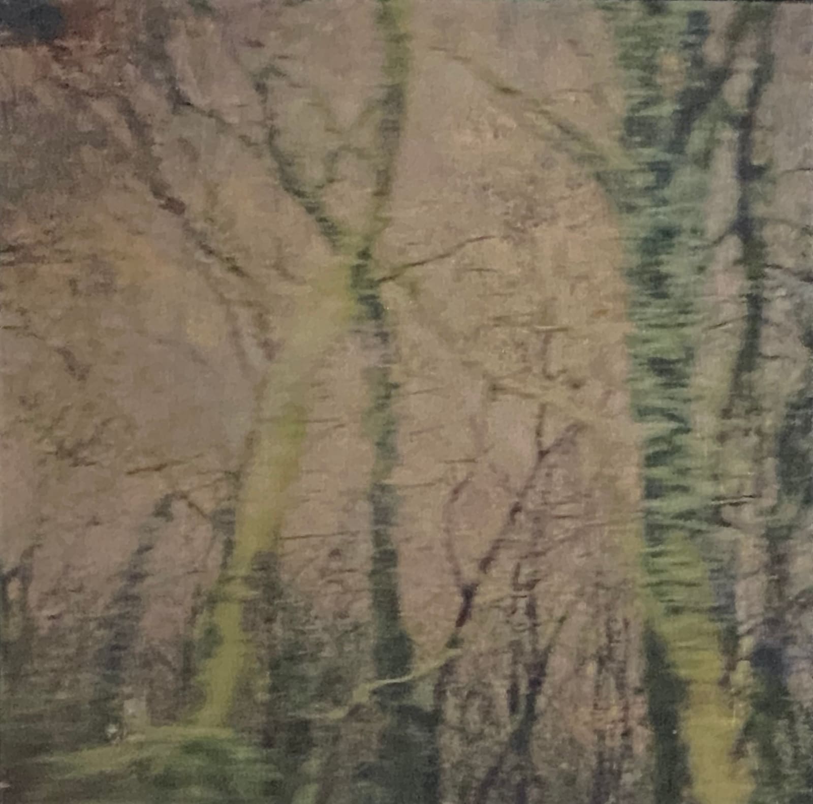 Miho Kajioka, CL0014, 2014