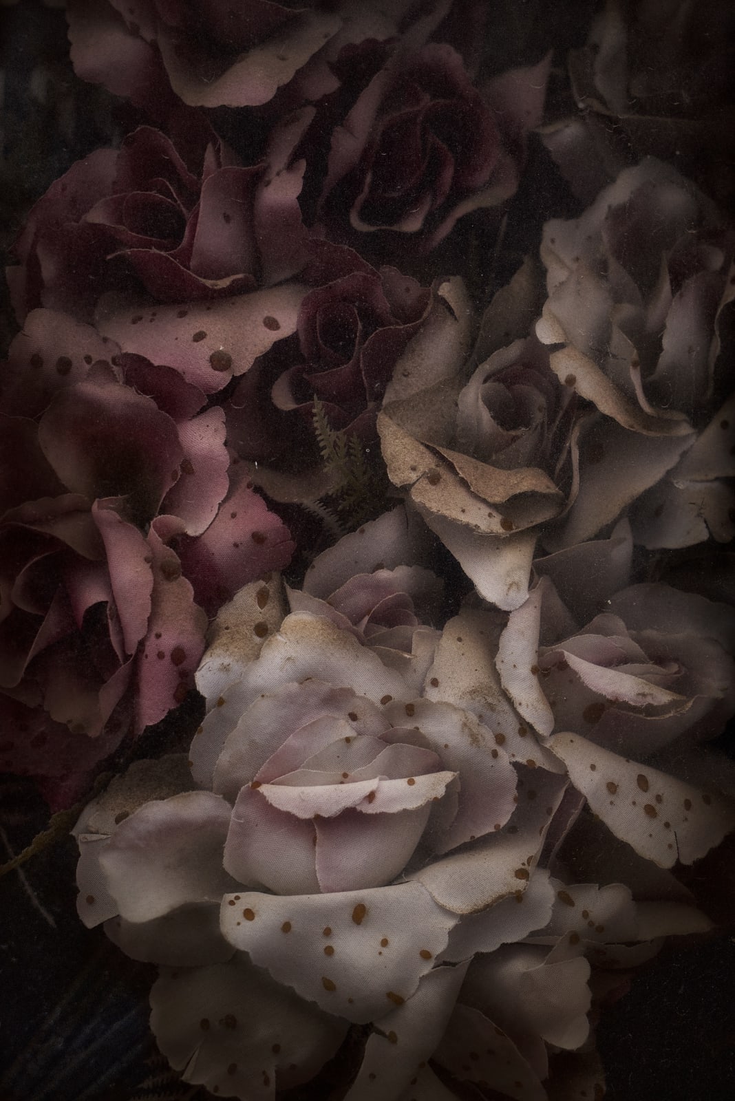 Christopher Thomas, Eternity 59, 2011