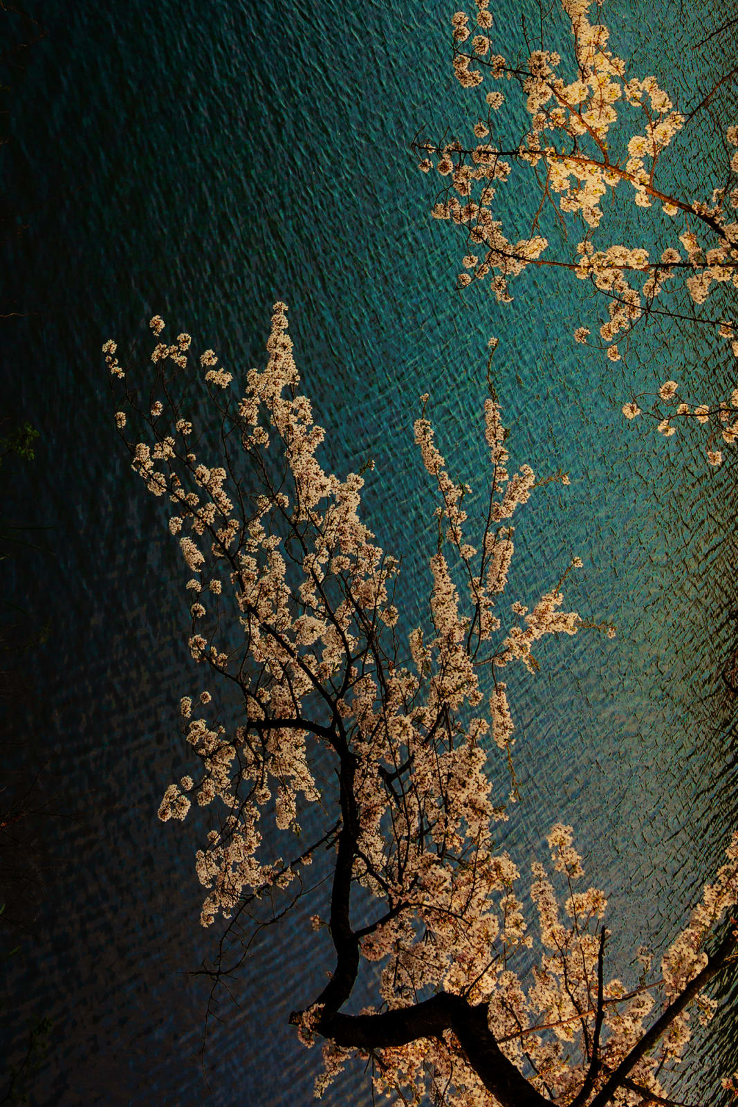 Albarrán Cabrera, The Mouth of Krishna #700, 2018