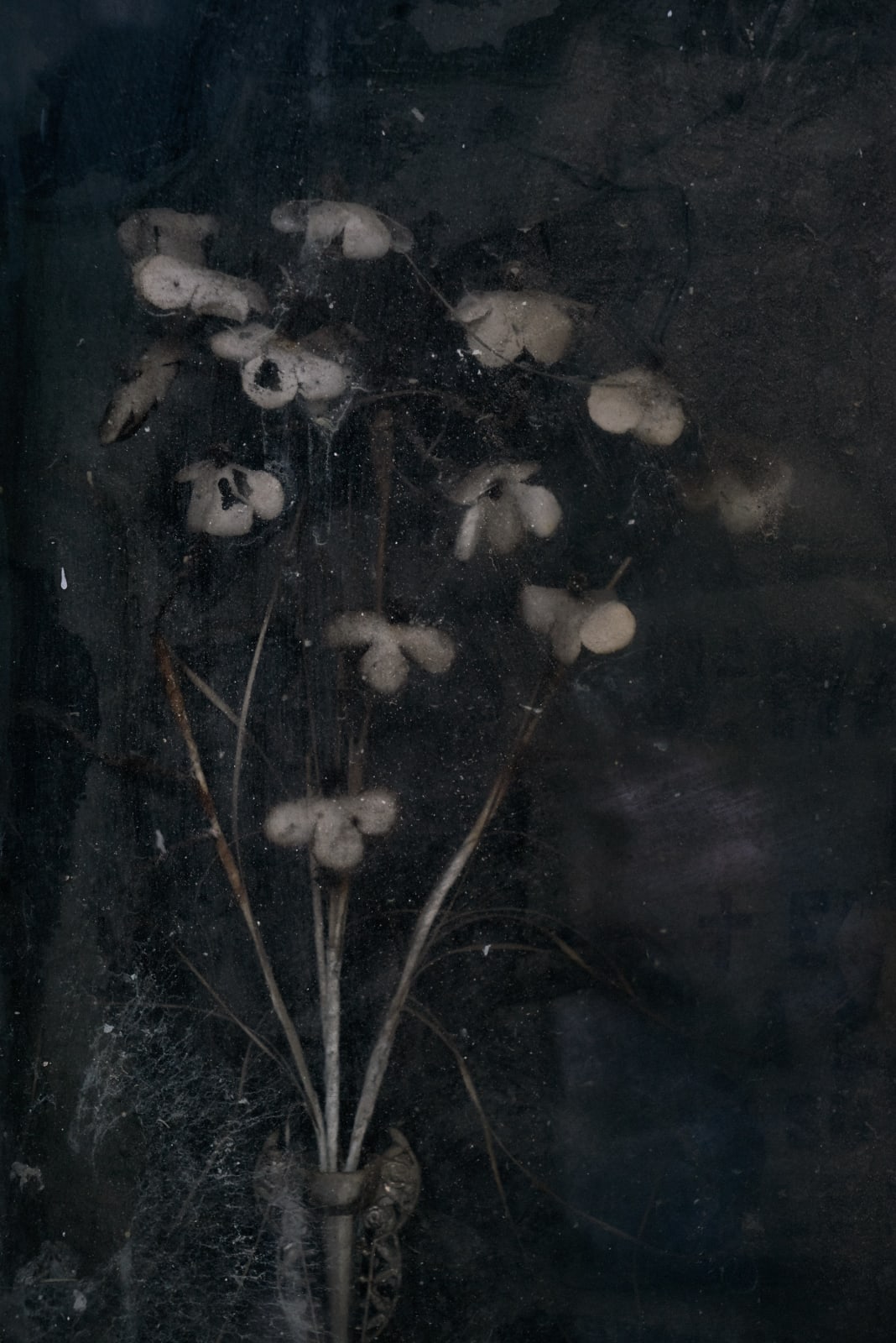 Christopher Thomas, Eternity 87, 2007