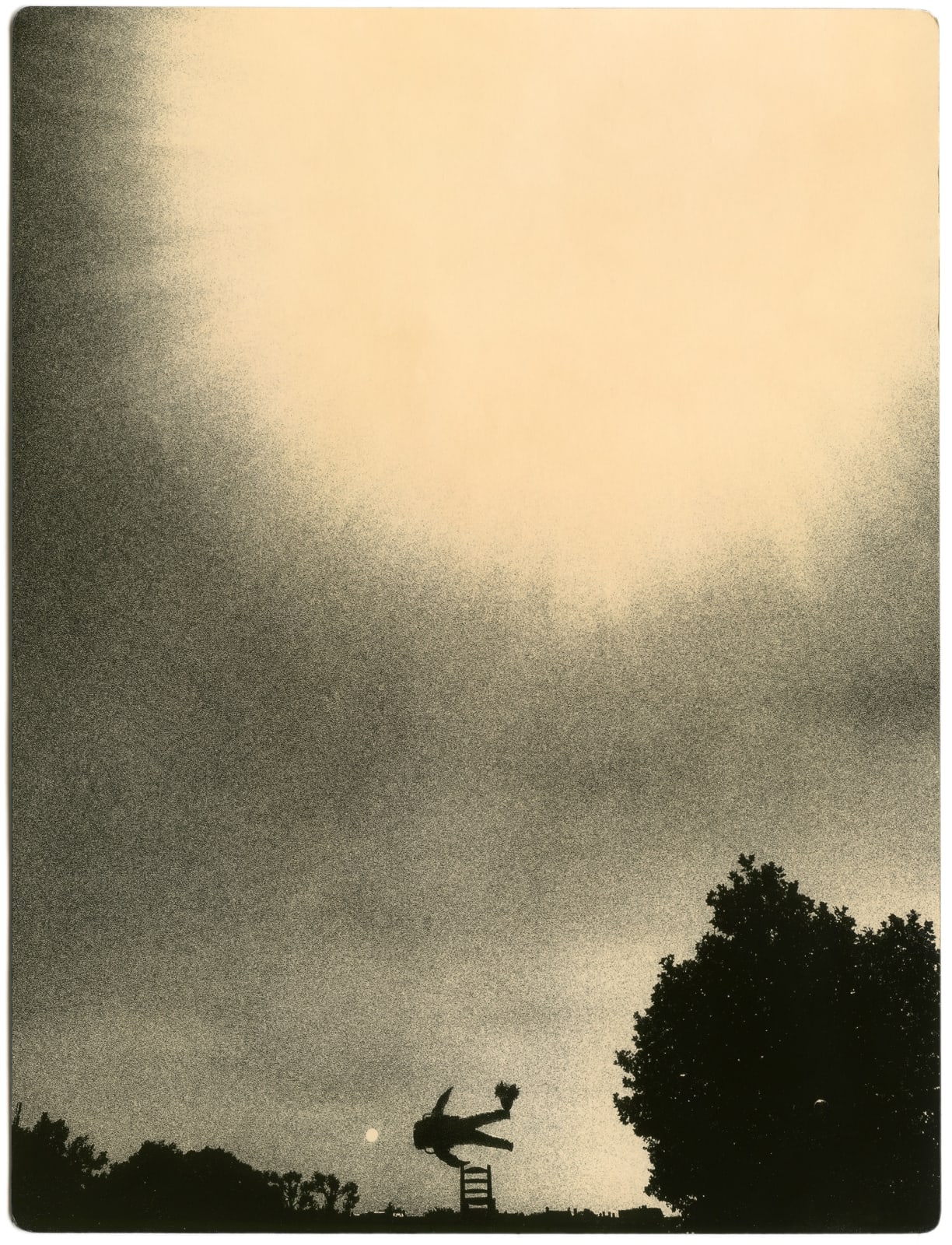 Miho Kajioka, BK0341, 2018