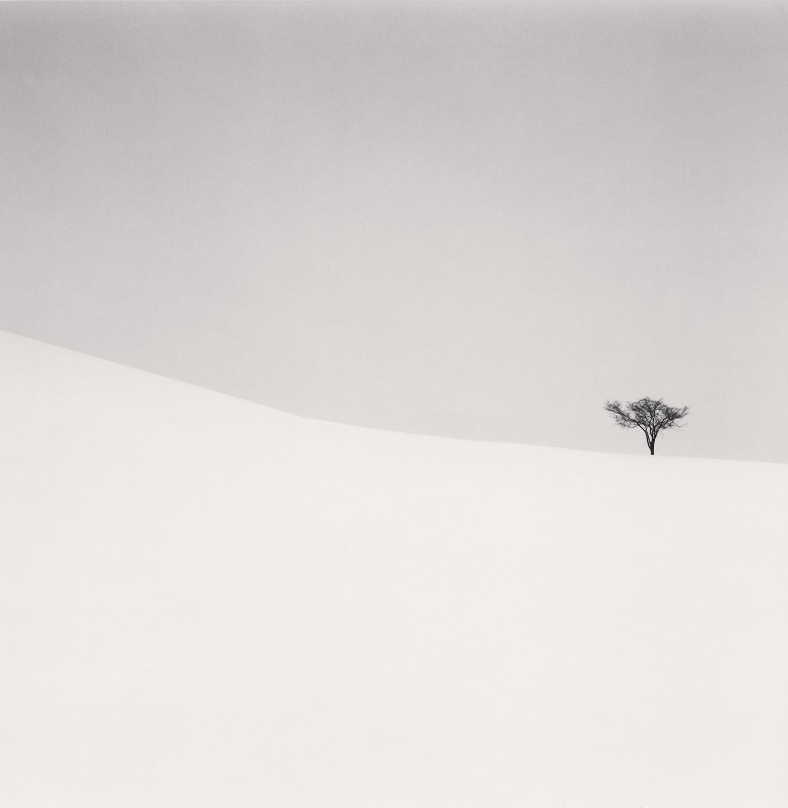 Michael Kenna, Single Tree, Mita, Hokkaido, Japan, 2007