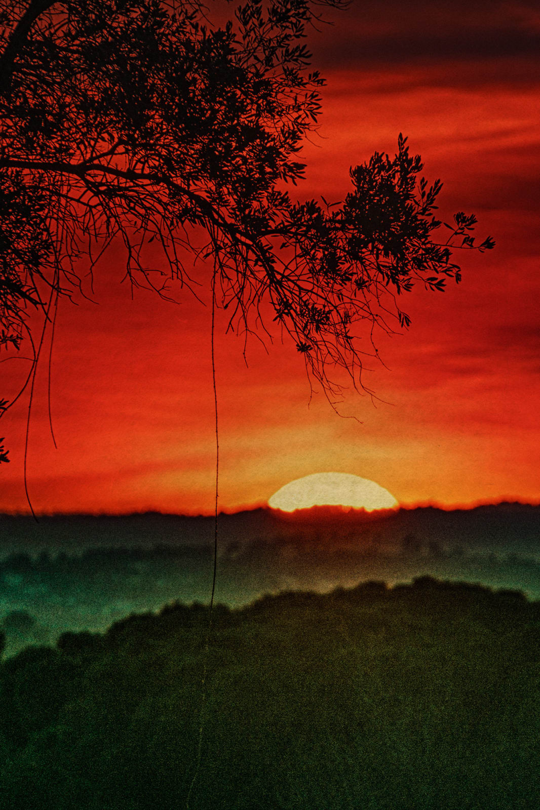 Albarrán Cabrera, The Mouth of Krishna #1016, 2024