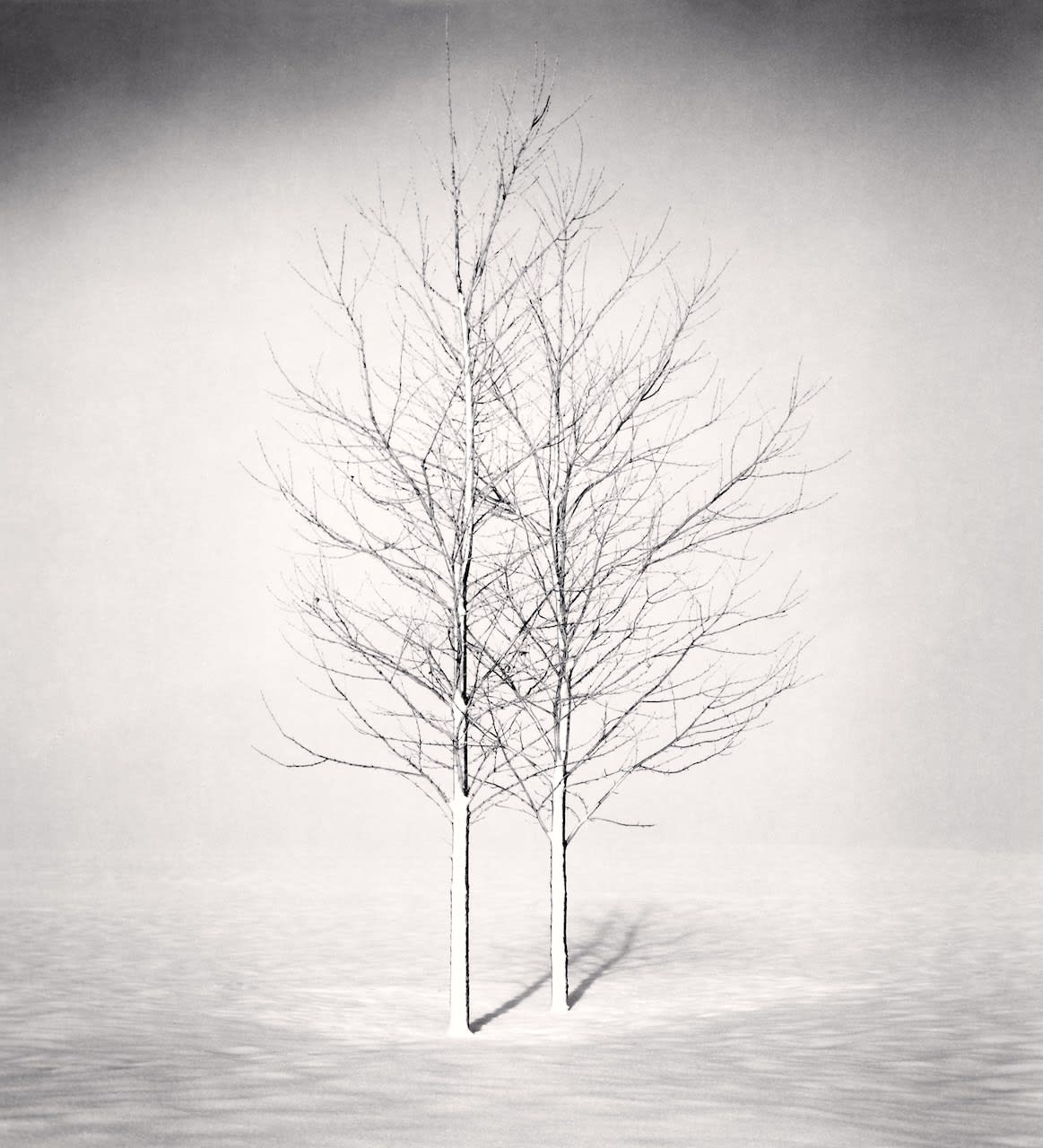 Michael Kenna, Somewhere Only We Know, Study 1, Wakoto, Hokkaido, Japan, 2002