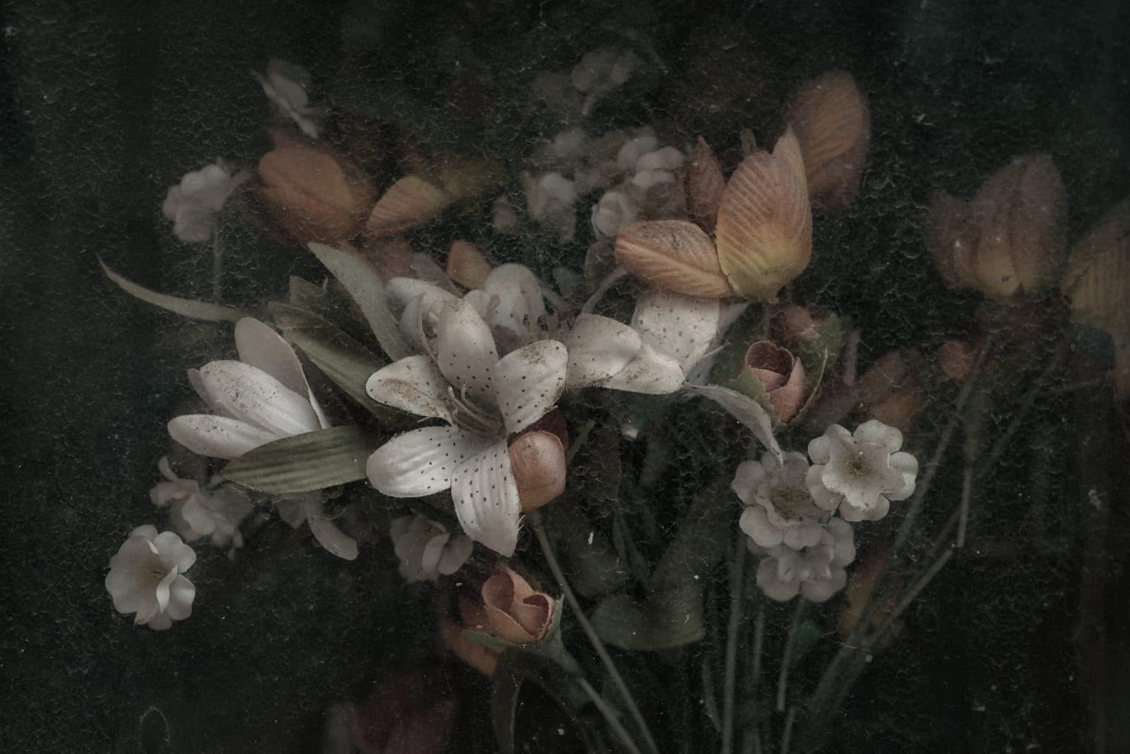 Christopher Thomas, Eternity 80, 2007