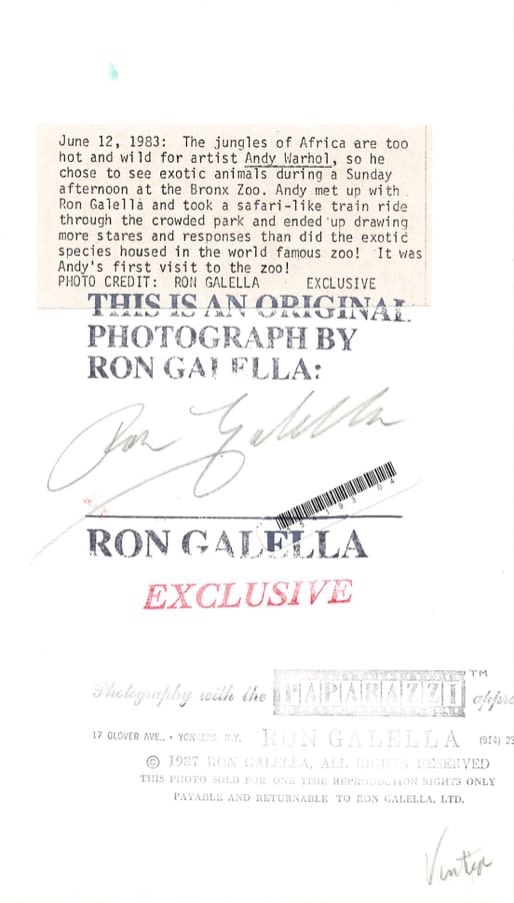 Ron Galella, Andy Warhol at the Bronx Zoo, June 12, 1983