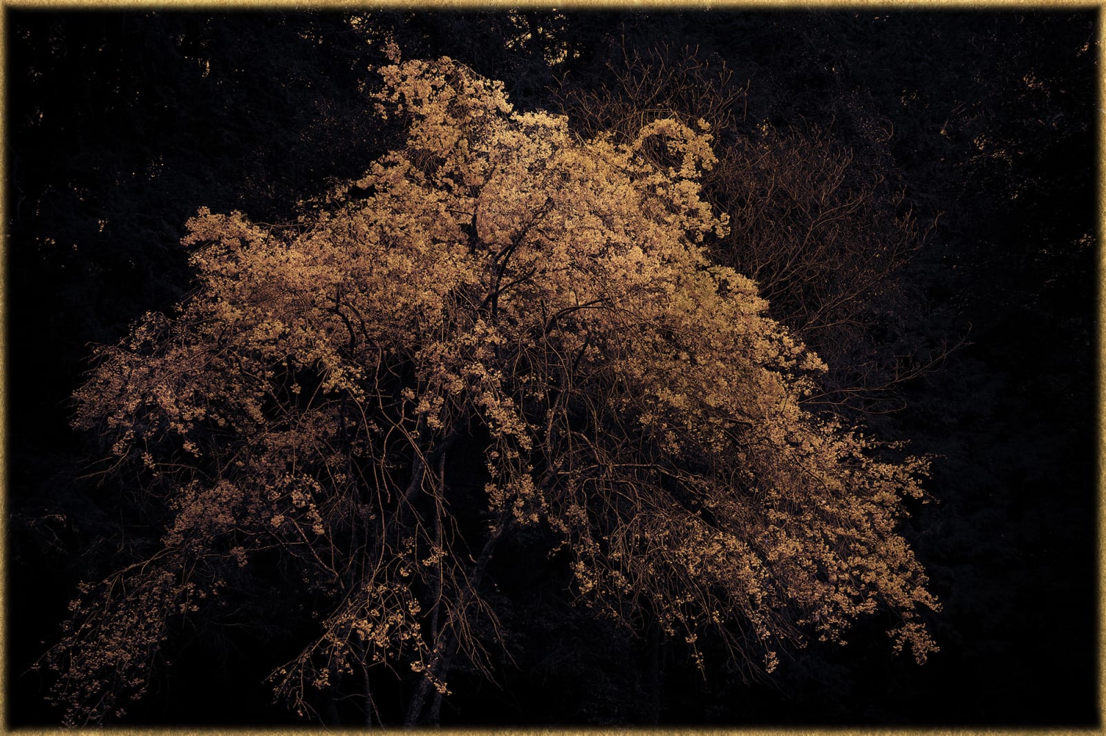 Albarrán Cabrera, The Mouth of Krishna, #992, 2018