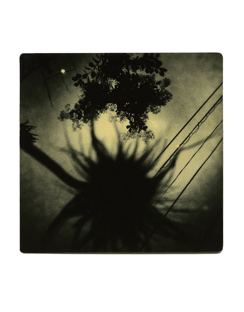 Miho Kajioka, BK0282, 2016