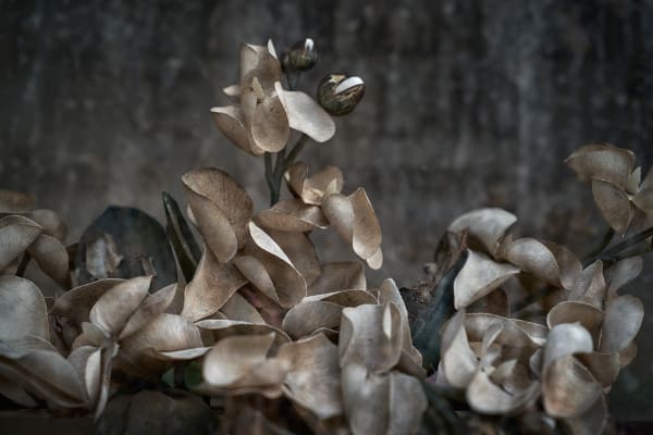 Christopher Thomas, Eternity 05, 2005