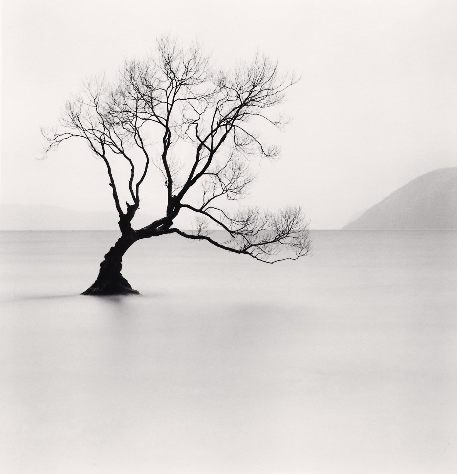 Michael Kenna, Wanaka Lake Tree, Study 1, Otago, New Zealand, 2013
