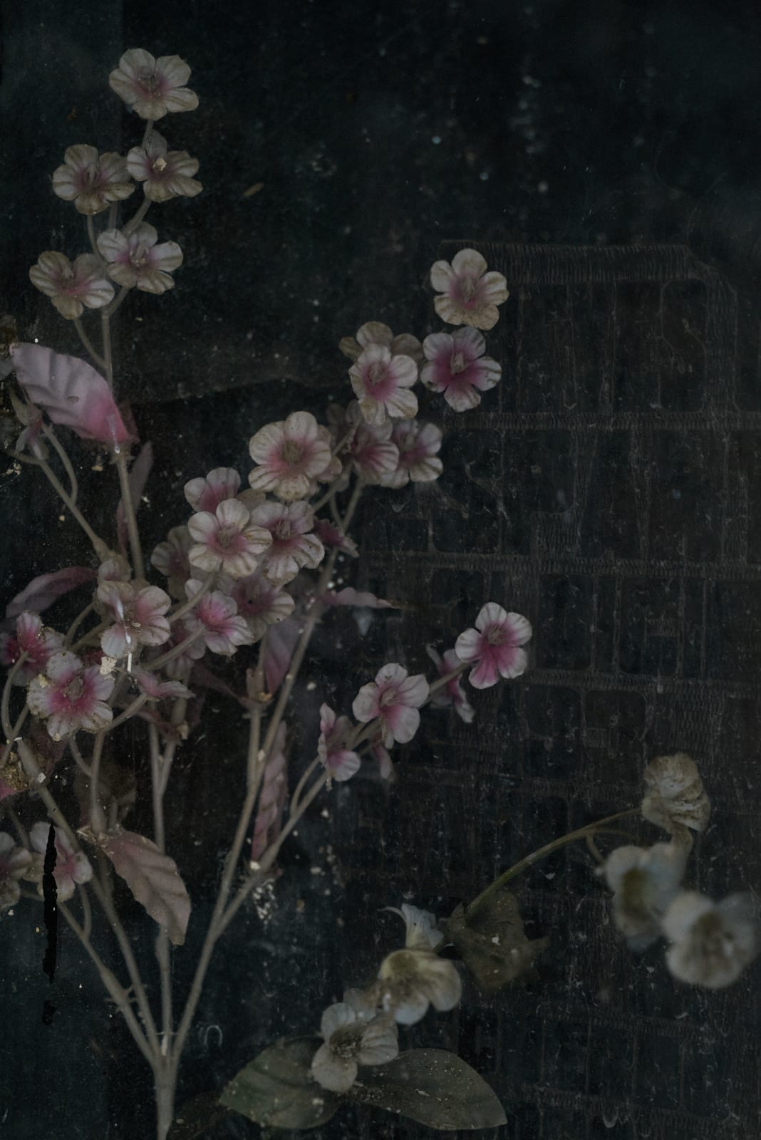 Christopher Thomas, Eternity 89, 2008