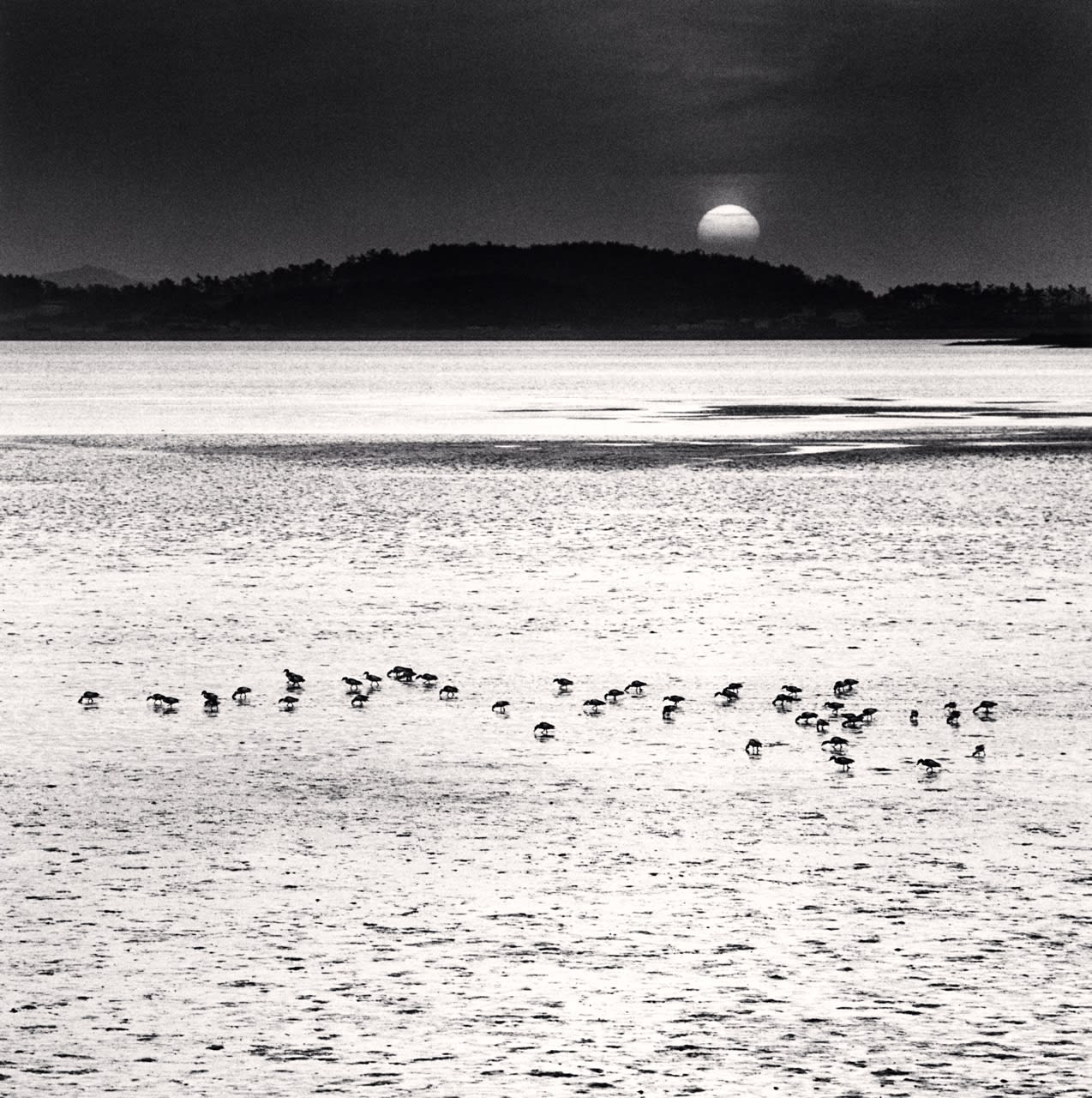 Michael Kenna, Feeding Birds, Jeung-do, Shinan, South Korea, 2012
