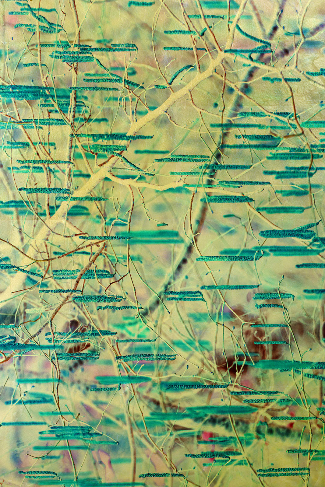 Albarrán Cabrera, The Indestructible #70032, 2024