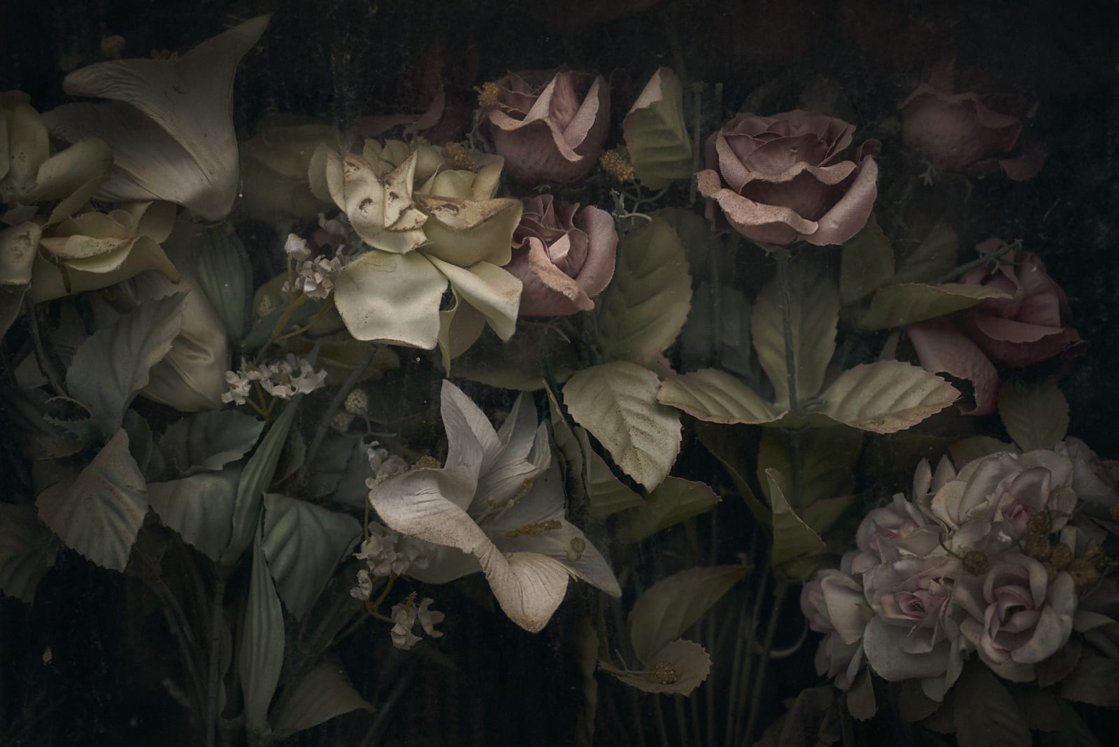 Christopher Thomas, Eternity 73, 2009