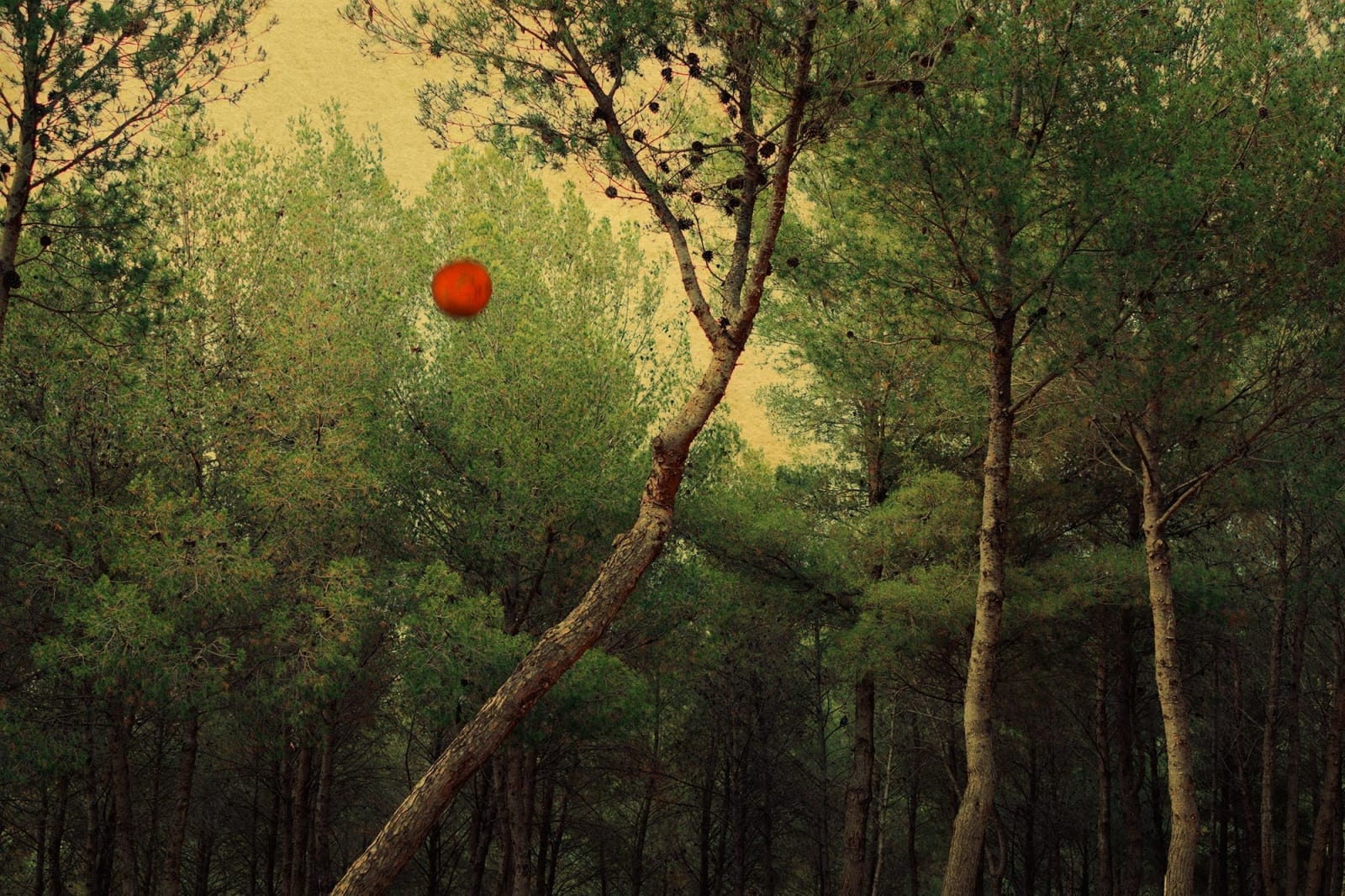 Albarrán Cabrera, The Mouth of Krishna, #724, 2018