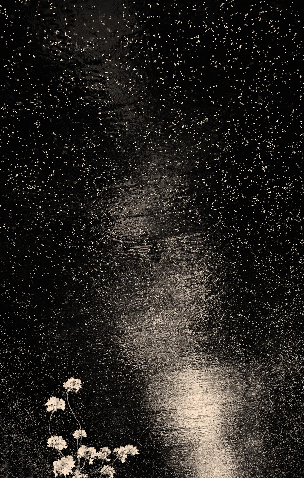 Albarrán Cabrera, The Mouth of Krishna, #166, Japan, 2013