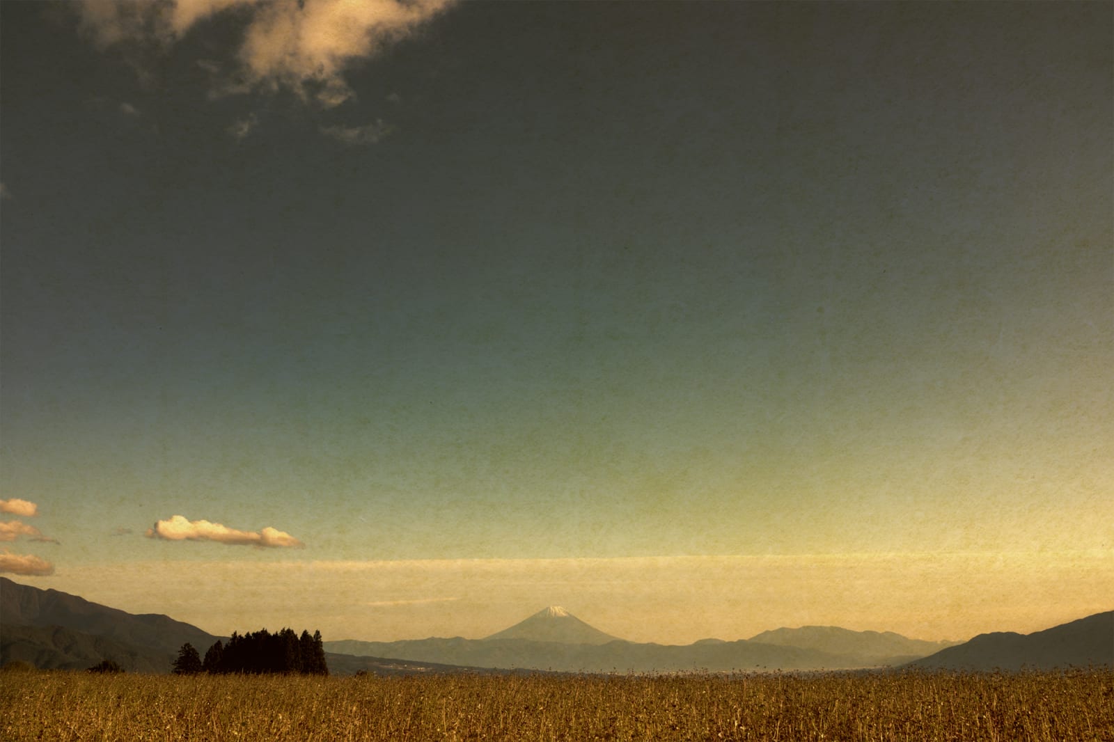 Albarrán Cabrera, The Mouth of Krishna, #488, 2016