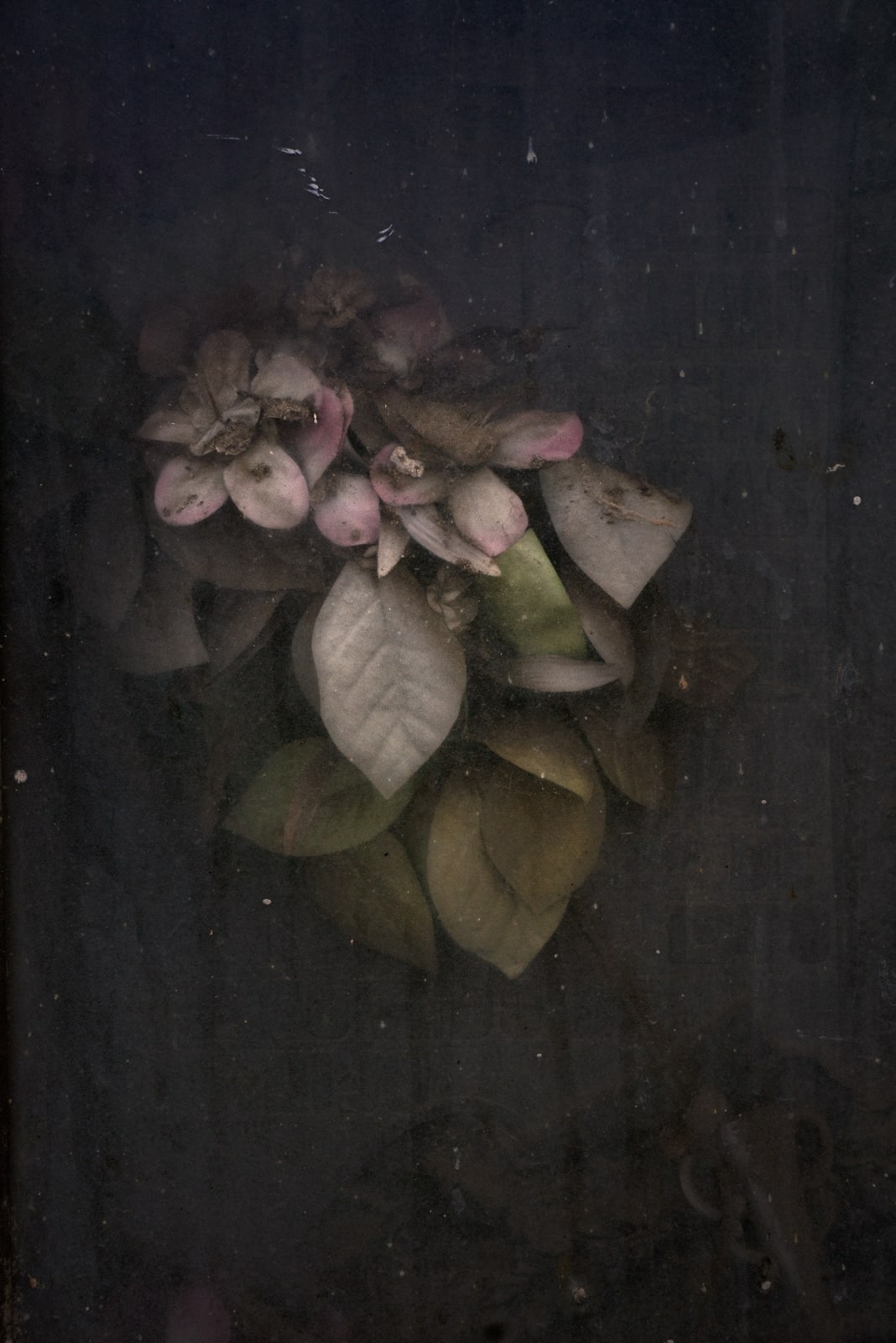 Christopher Thomas, Eternity 81, 2010