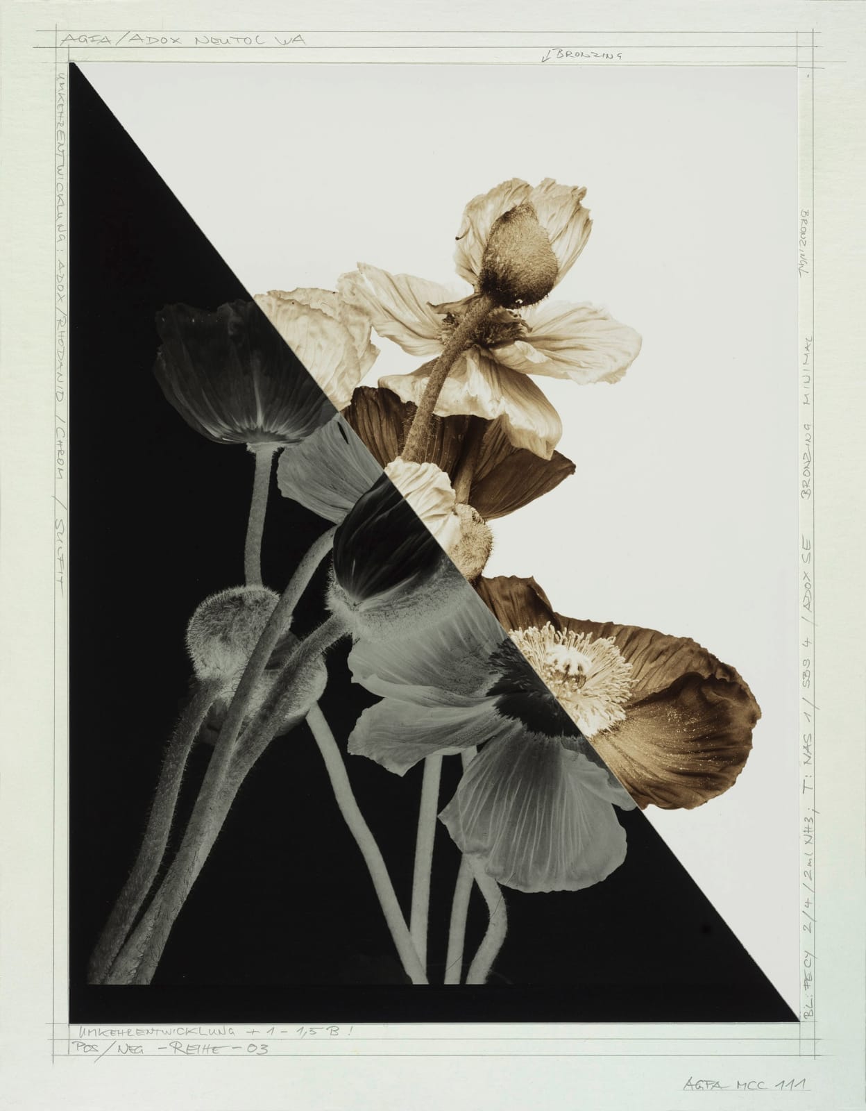 Ulrich Schmitt, Mohn-08A_T-03_Argentum, 2003/2023