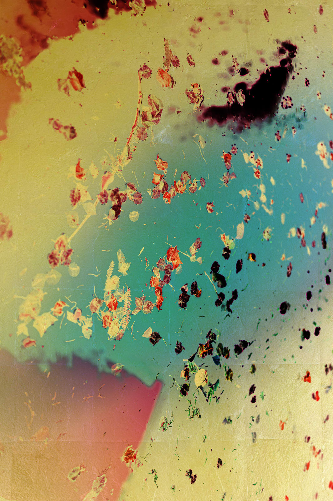 Albarrán Cabrera, The Indestructible #70020, 2024