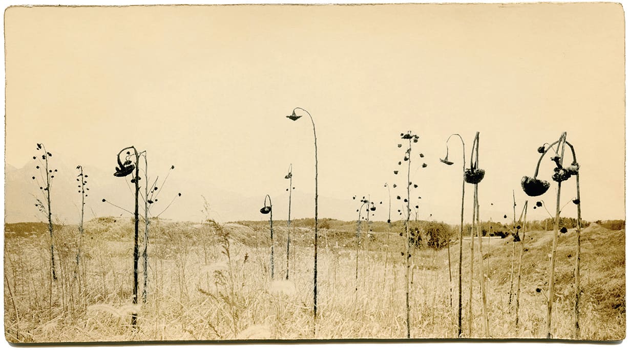 Miho Kajioka, BK0065, 2013
