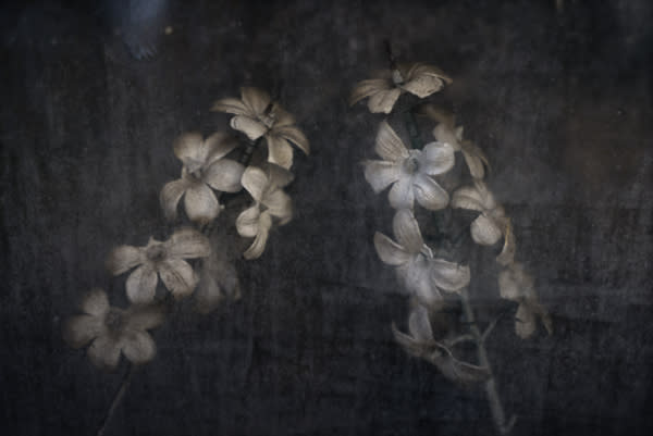 Christopher Thomas, Eternity 16, 2006
