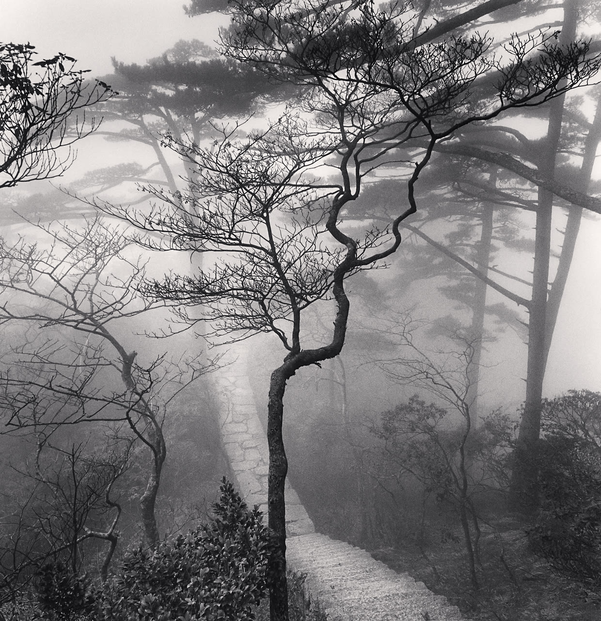 Michael Kenna, Huangshan Mountains, Study 20, Anhui, China