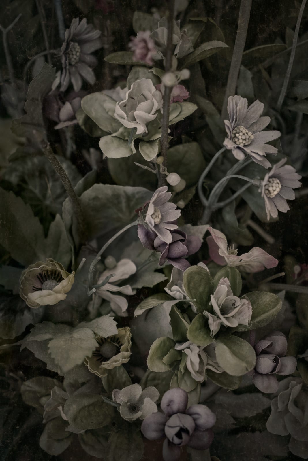 Christopher Thomas, Eternity 37, 2007