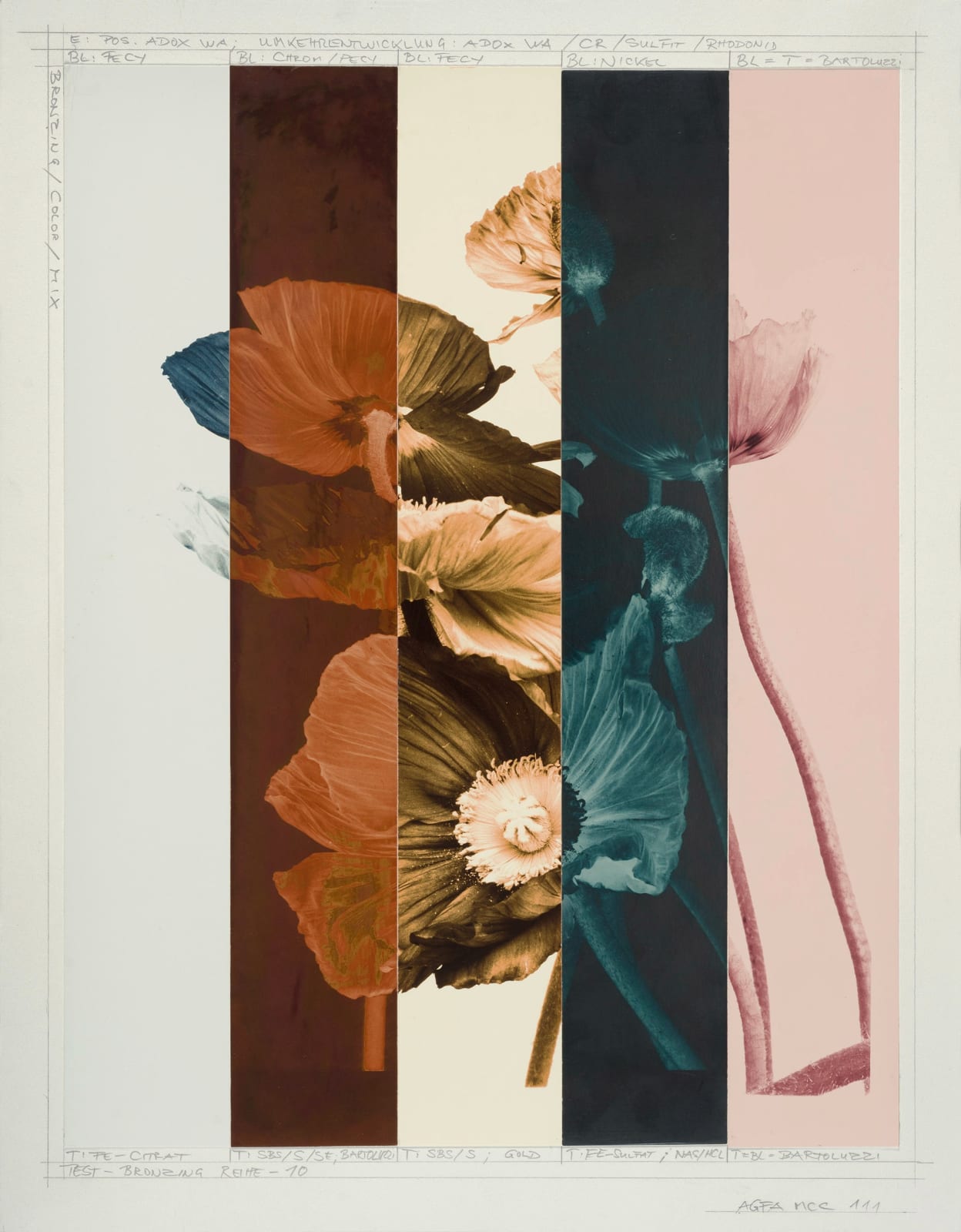 Ulrich Schmitt, Mohn-8C_T10_Antimonium, 2003/2023