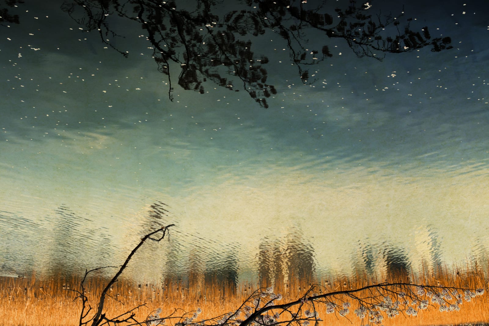 Albarrán Cabrera, The Mouth of Krishna, #50175, Tokyo, Japan, 2013
