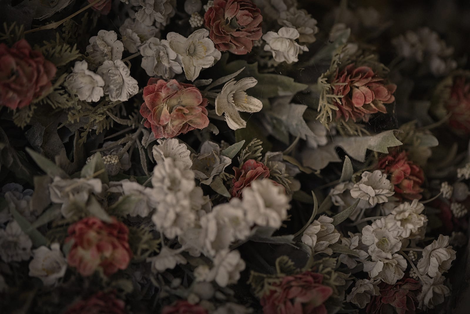 Christopher Thomas, Eternity 55, 2009