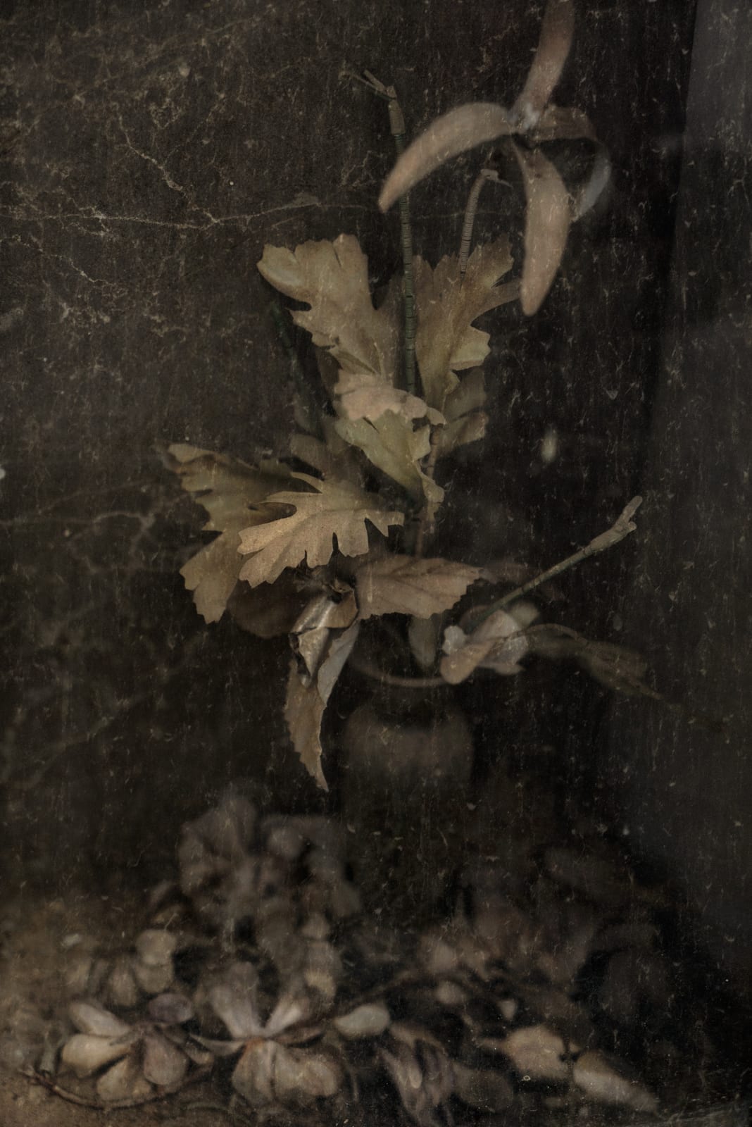 Christopher Thomas, Eternity 77, 2011