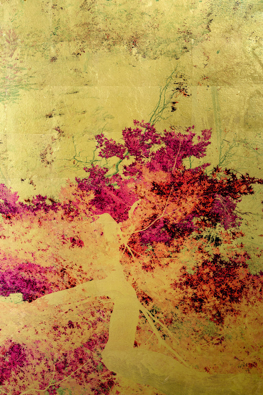 Albarrán Cabrera, The Indestructible #70006, 2019