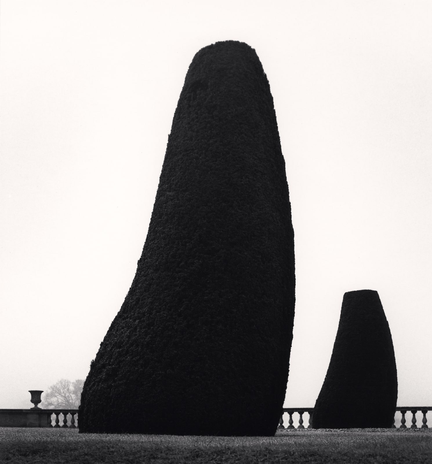 Michael Kenna, Bowood Gardens, Study 2, Wiltshire, England, 1987