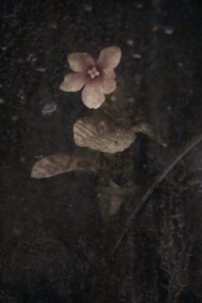 Christopher Thomas, Eternity 26, 2009