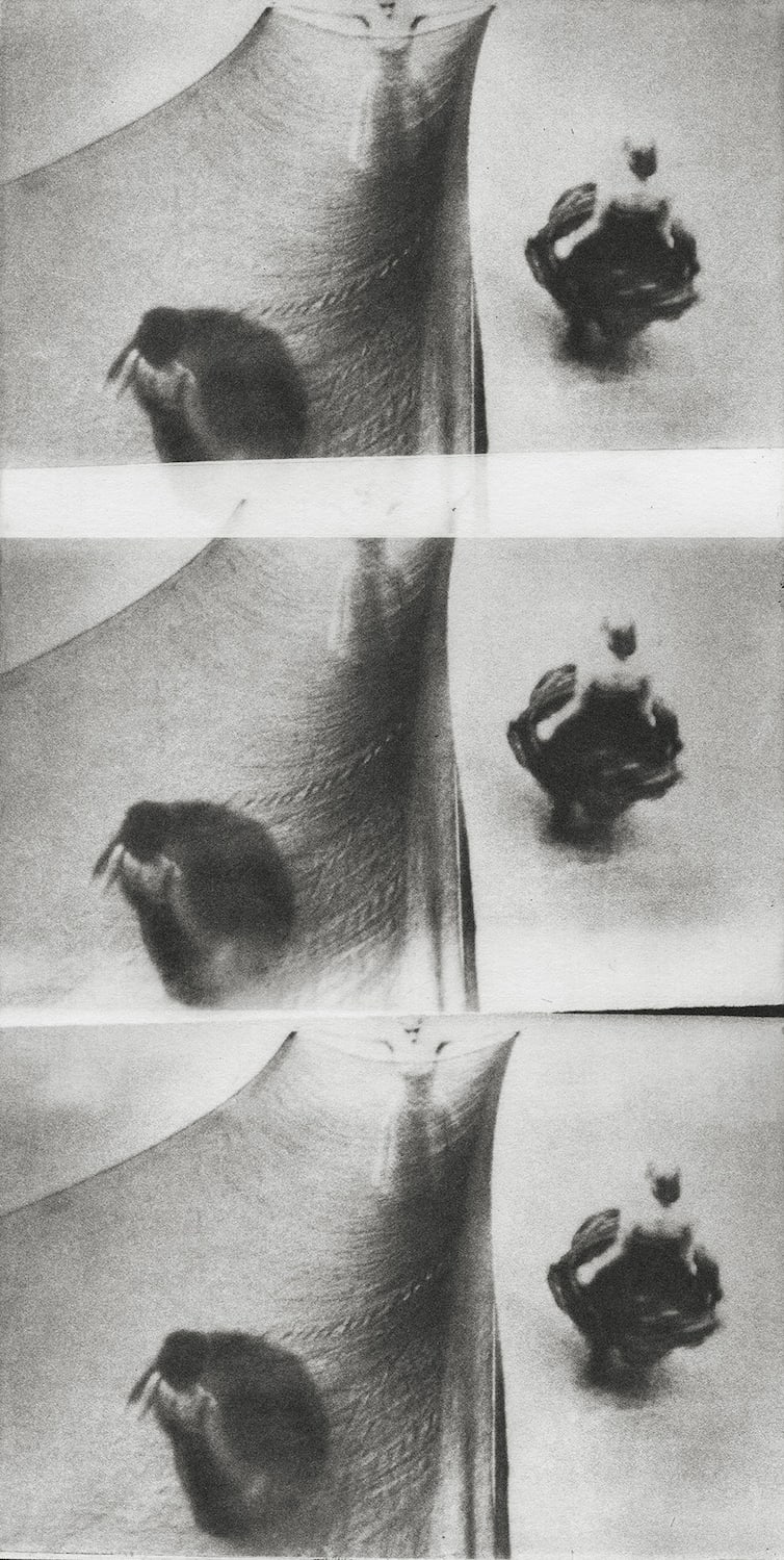 Chantal Elisabeth Ariëns, Her Own Universe / Experimental #2, 2024