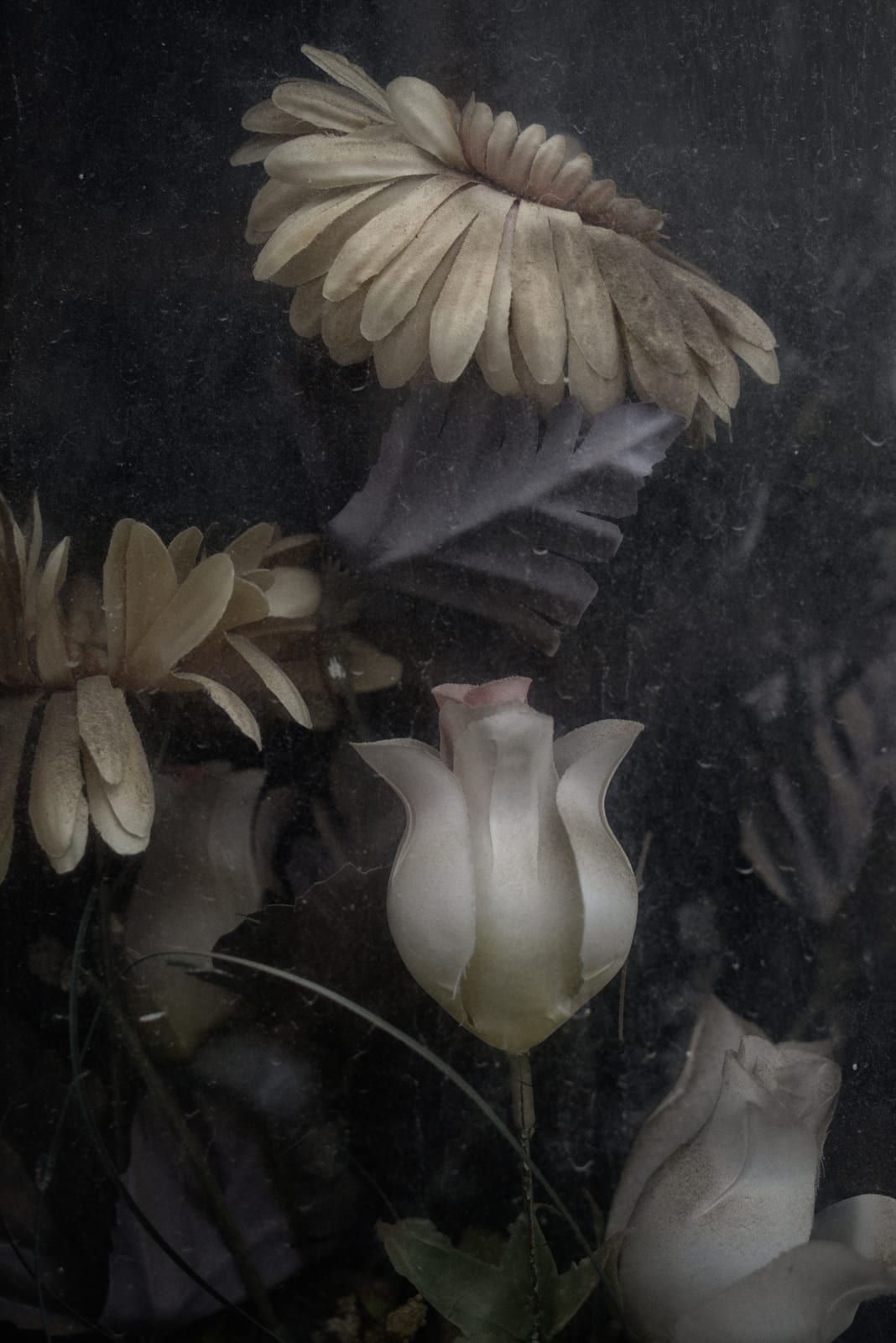 Christopher Thomas, Eternity 36, 2008