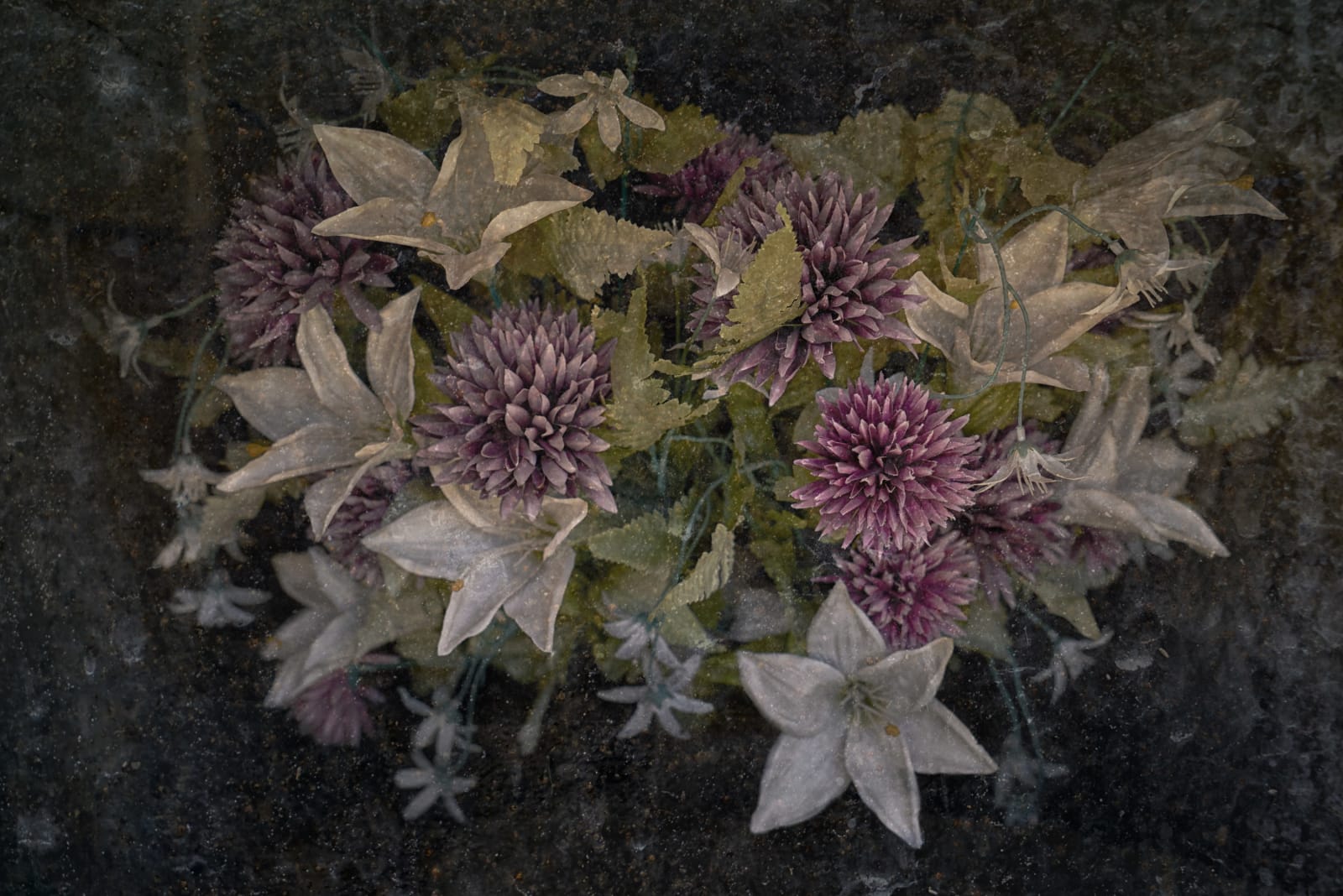 Christopher Thomas, Eternity 46, 2006