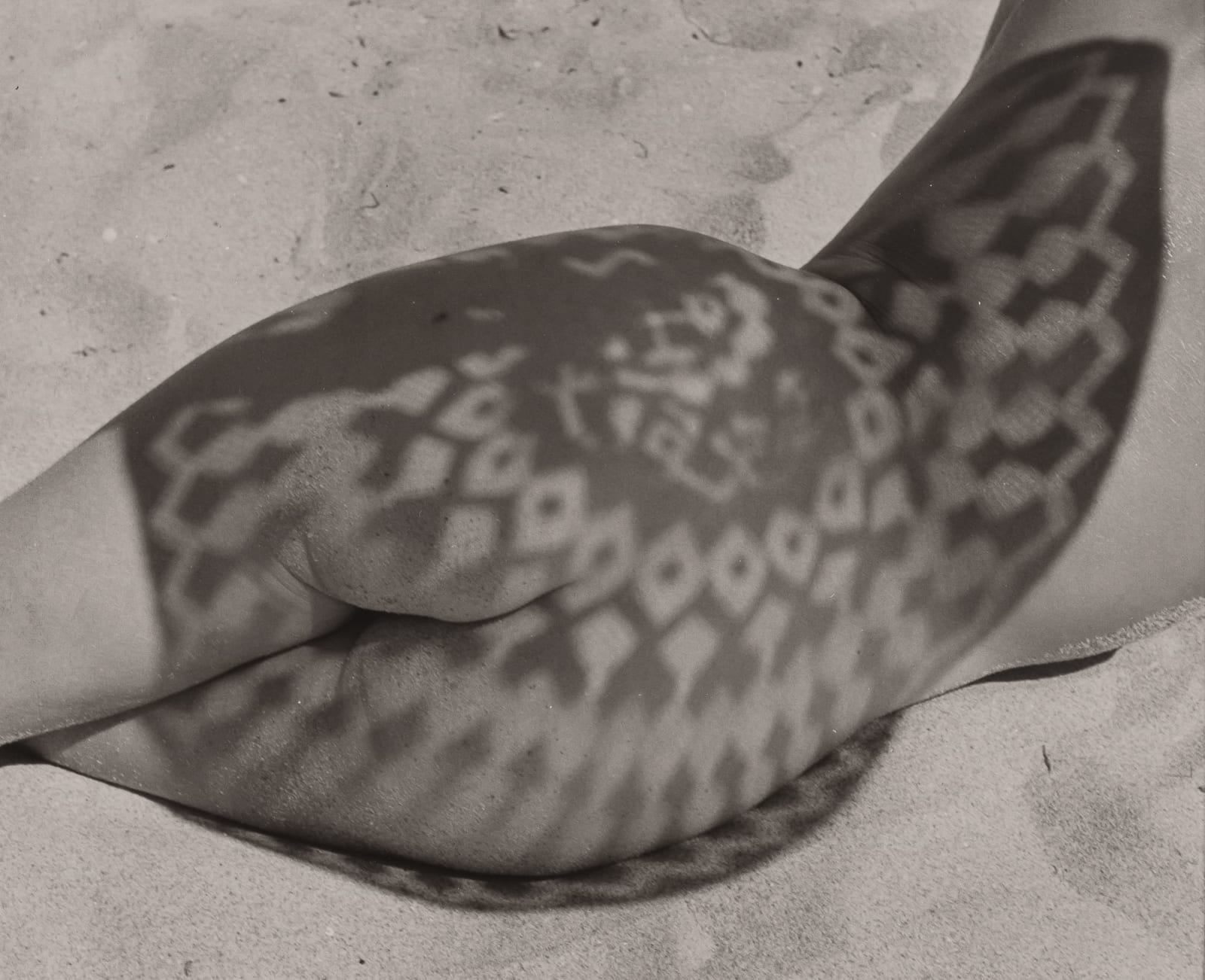 Louise Dahl-Wolfe, Nude on the Beach, 1940