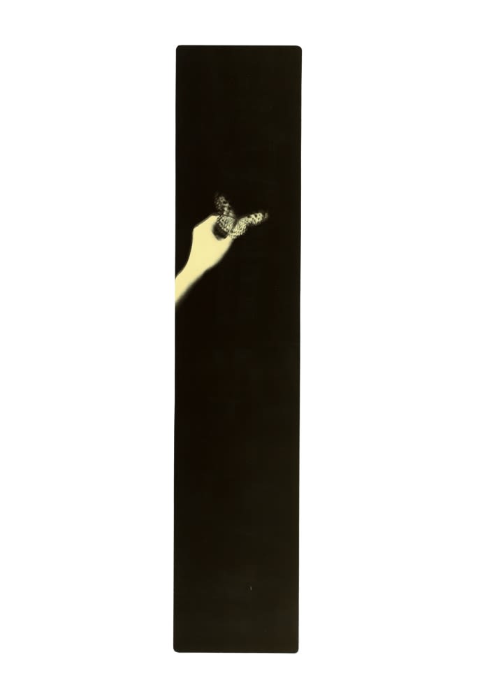 Miho Kajioka, BK0507, 2014