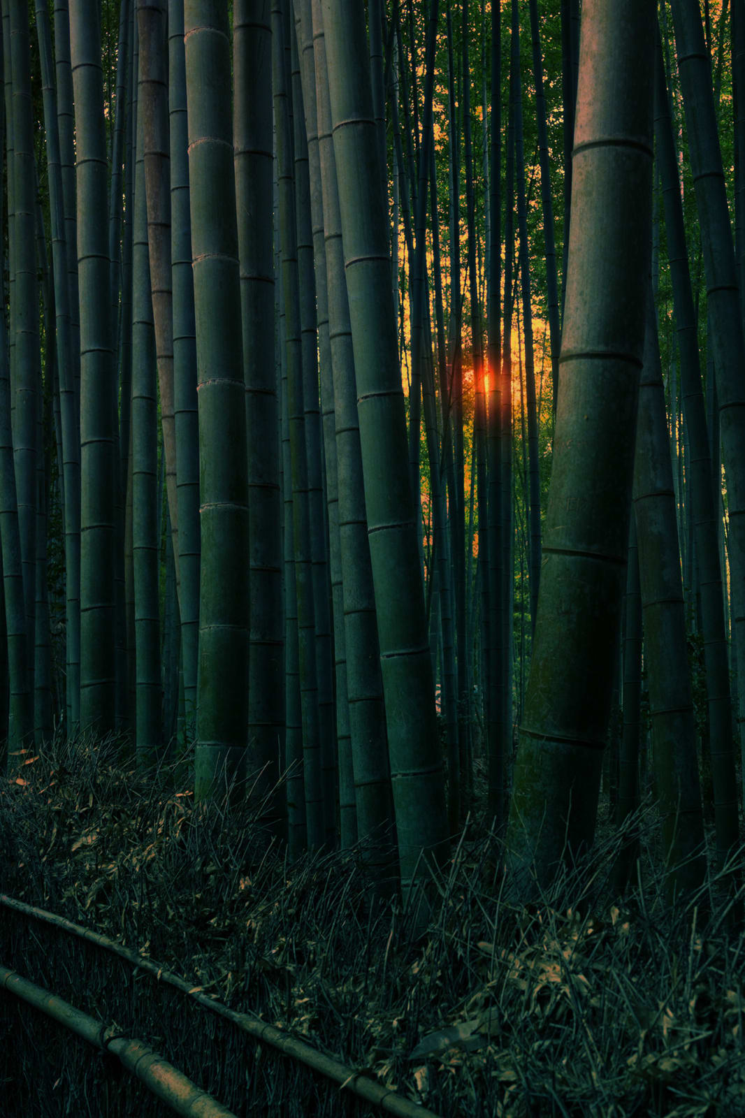 Albarrán Cabrera, The Mouth of Krishna #776, 2015