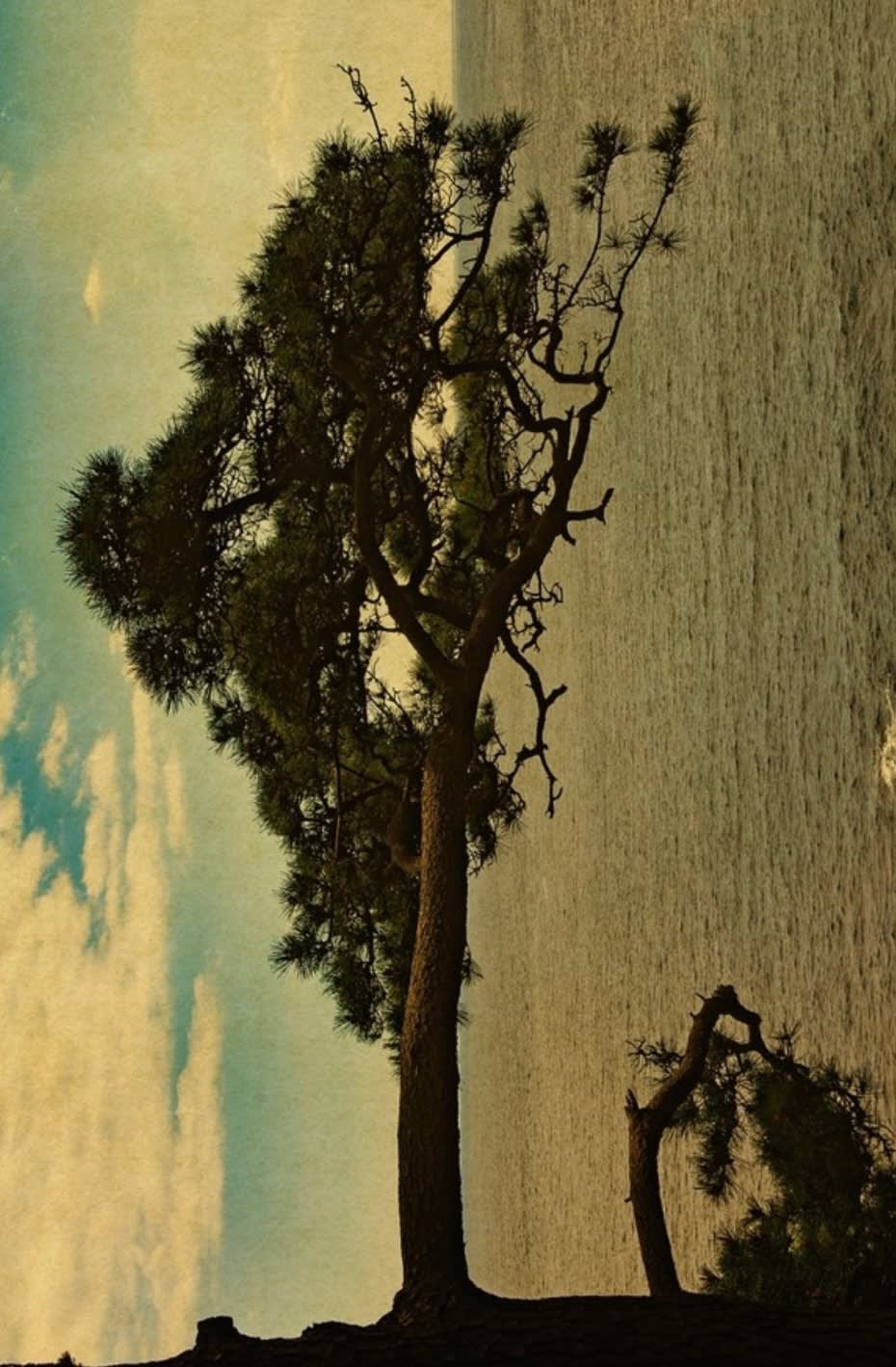 Albarrán Cabrera, The Mouth of Krishna #779, 2018