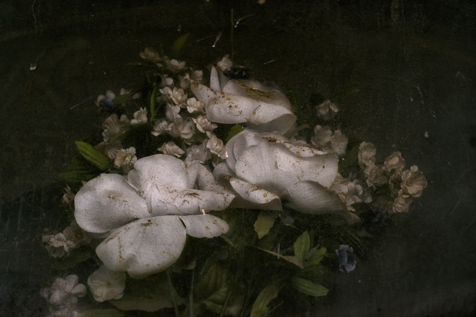 Christopher Thomas, Eternity 83, 2011