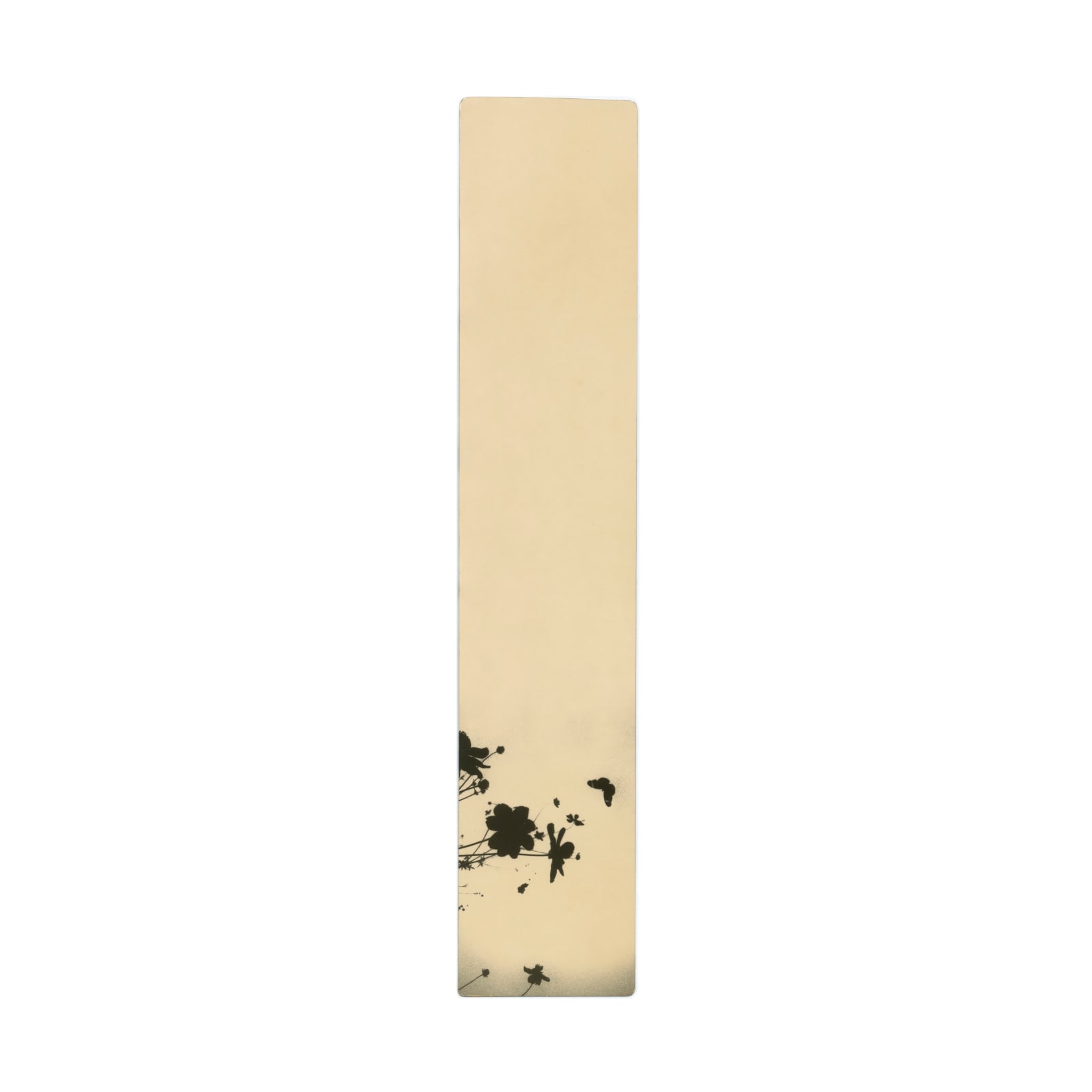 Miho Kajioka, #0119, 2020